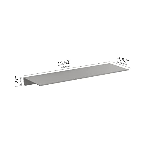 Danpoo Floating Shelf, Metal Wall Shelf for Bathroom/Living Room/Kitchen/Bedroom, Display Shelf for Collectibles