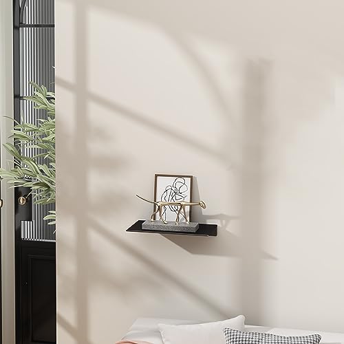Danpoo Floating Shelf, Metal Wall Shelf for Bathroom/Living Room/Kitchen/Bedroom, Display Shelf for Collectibles
