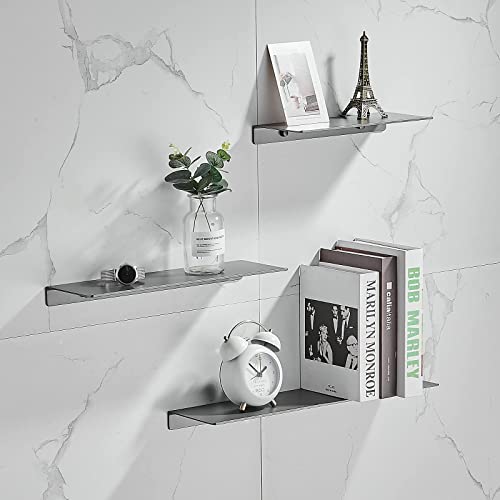 Danpoo Floating Shelf, Metal Wall Shelf for Bathroom/Living Room/Kitchen/Bedroom, Display Shelf for Collectibles