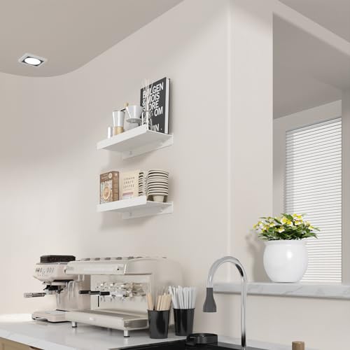Danpoo Black Floating Shelves for Wall Metal Shelf Wall Mounted Shelves for Bathroom Wall Shelves,12 inch