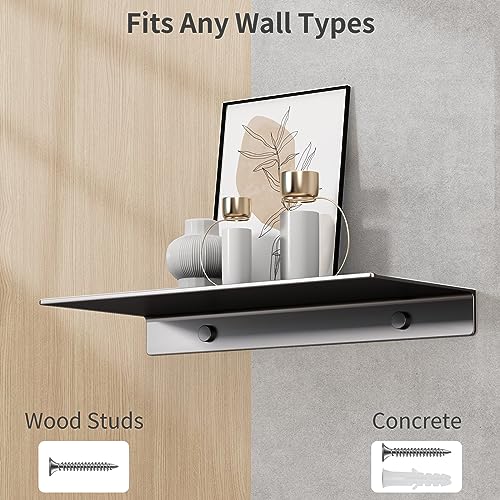 Danpoo Floating Shelf, Metal Wall Shelf for Bathroom/Living Room/Kitchen/Bedroom, Display Shelf for Collectibles