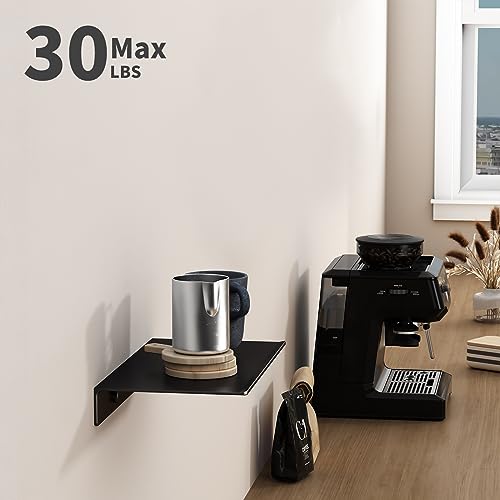 Danpoo Floating Shelf, Metal Wall Shelf for Bathroom/Living Room/Kitchen/Bedroom, Display Shelf for Collectibles